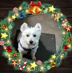 Meet your Posher, Joanne